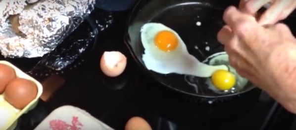 healthy egg yolk color