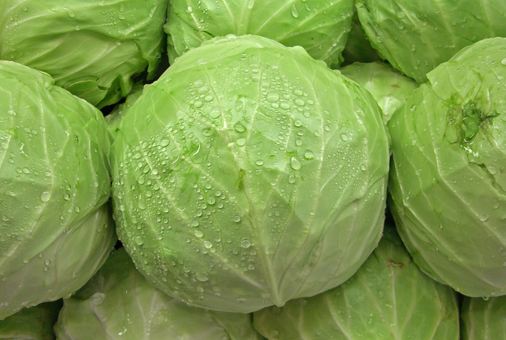 benefits of eating raw cabbage