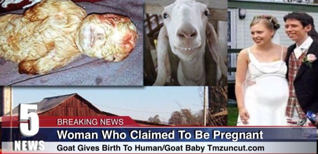 Human/Goat Baby Woman Who Claimed To Be Pregnant By Goat, Actually Gives Birth To Human/Goat Baby