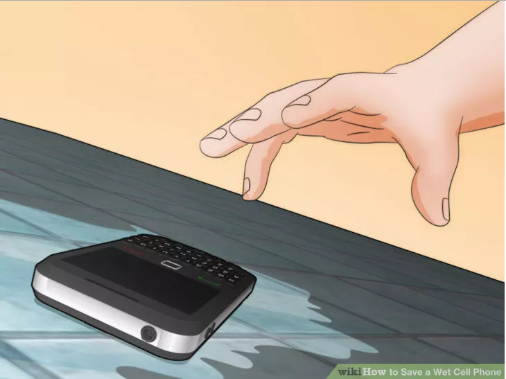 phone dropped in water what to do